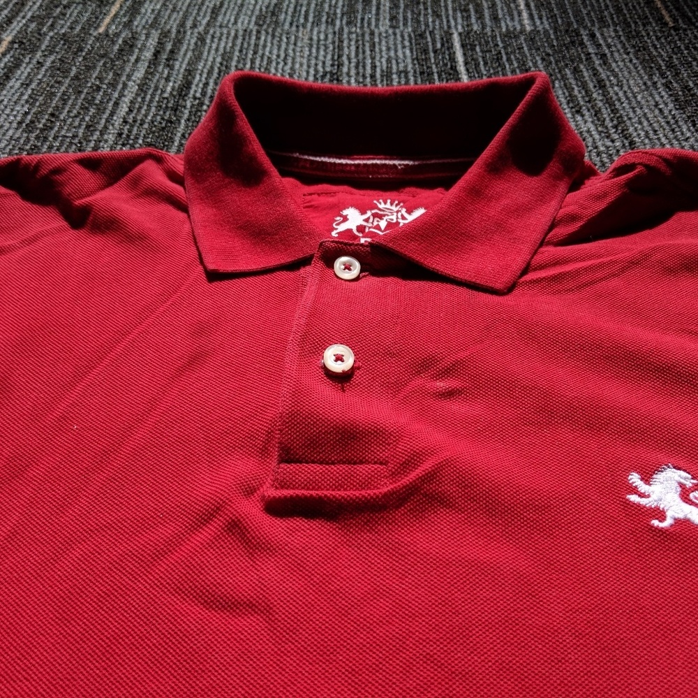 Express Polo - Picture 2 of 4
